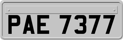 PAE7377