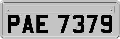 PAE7379