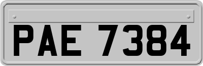 PAE7384