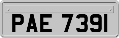 PAE7391