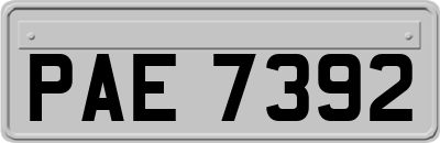 PAE7392