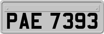 PAE7393