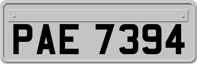 PAE7394