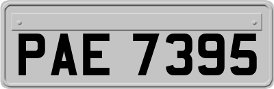 PAE7395