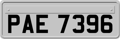 PAE7396