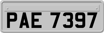 PAE7397