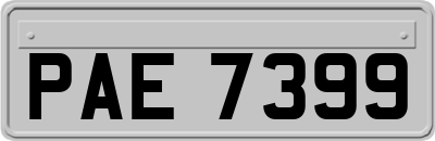 PAE7399