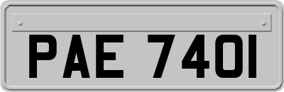 PAE7401