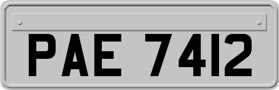 PAE7412
