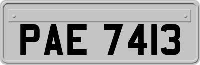 PAE7413