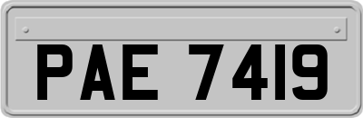 PAE7419