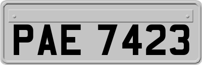 PAE7423