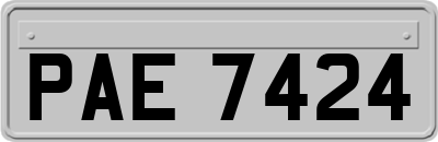 PAE7424
