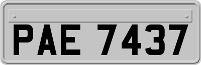 PAE7437