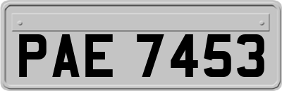 PAE7453