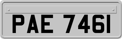 PAE7461