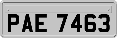 PAE7463