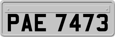 PAE7473
