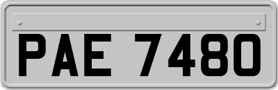 PAE7480