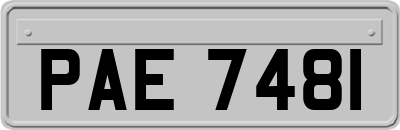 PAE7481