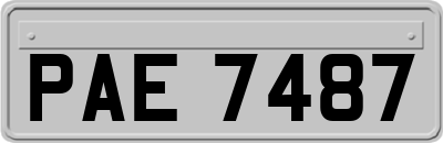 PAE7487