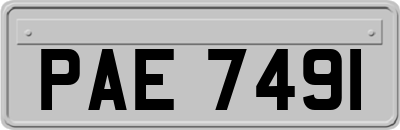 PAE7491