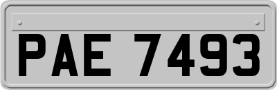 PAE7493