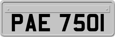 PAE7501
