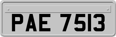 PAE7513