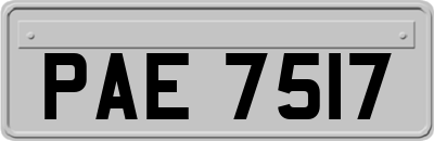 PAE7517