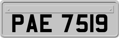 PAE7519