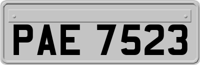 PAE7523