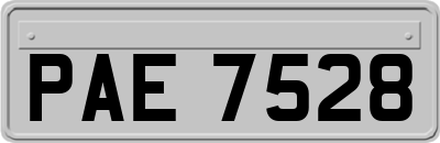 PAE7528