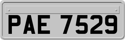 PAE7529