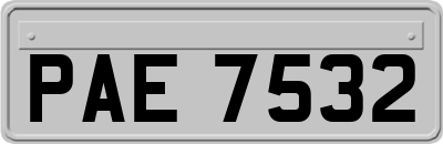 PAE7532