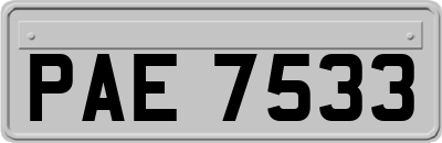 PAE7533