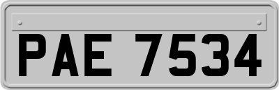 PAE7534