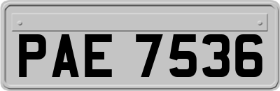 PAE7536