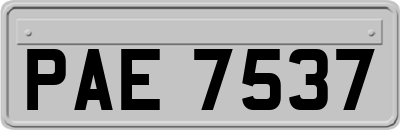 PAE7537