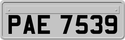 PAE7539