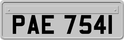 PAE7541