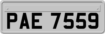 PAE7559