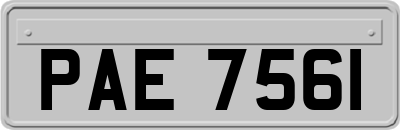 PAE7561