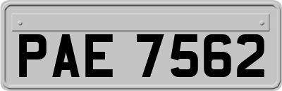 PAE7562