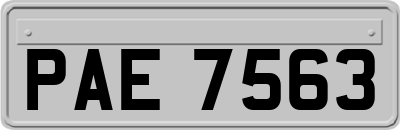 PAE7563
