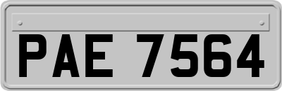 PAE7564