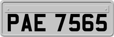 PAE7565