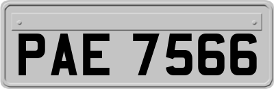 PAE7566