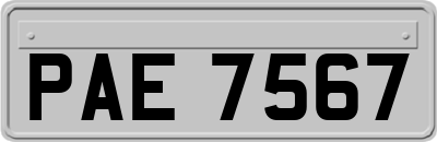 PAE7567