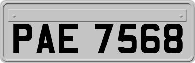 PAE7568